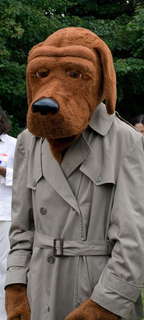 Mcgruff The Crime Dog - Media Rpgsite