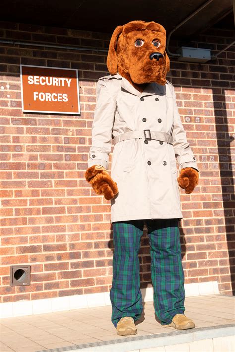 Mcgruff The Crime Dog - Media Rpgsite