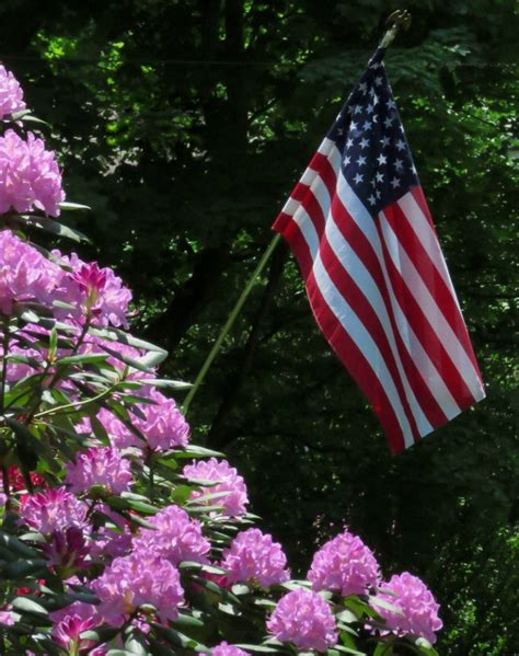 Memorial Day Colors Mellow Curmudgeon