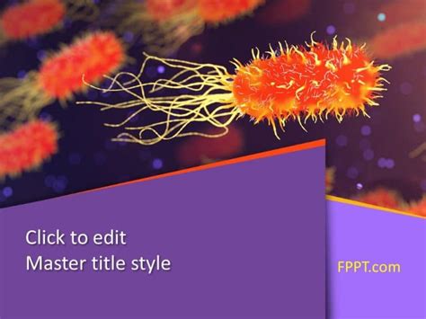 Microbiology And Infectious Diseases Powerpoint Template For Presentations