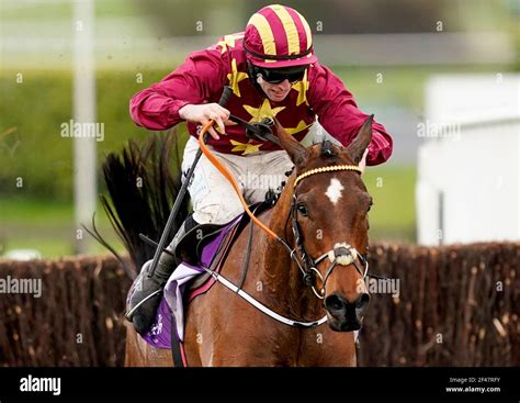 Minella Indo Horse Hi Res Stock Photography And Images Alamy