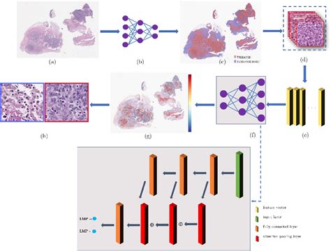 Multiple Classification Analysis Semantic Scholar