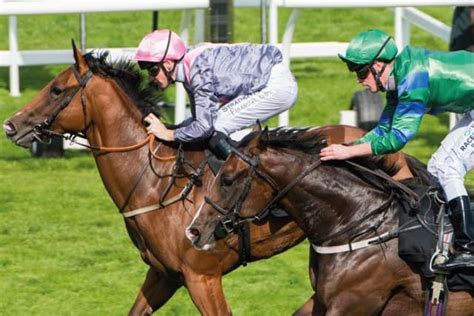 Musselburgh Races Friday Evening Meeting Runners Riders Timings