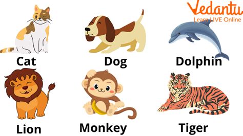 Names Of Vertebrates A Guide To Vertebrate Species For Kids