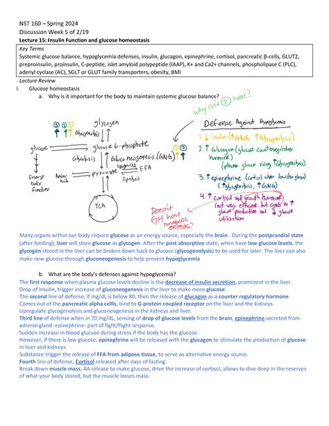 Nusctx 160 Annotated Discussion Guide 5 Lecture 15 Nst 160 Spring