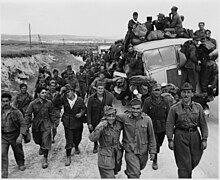 Operation Torch Wikipedia