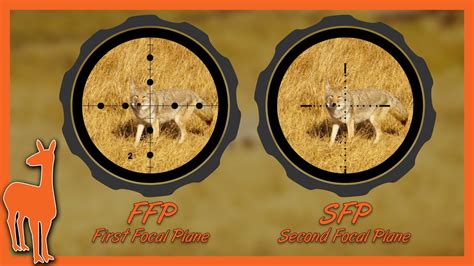 Optics Guide 4 17 Ffp Vs Sfp Scopes Youtube