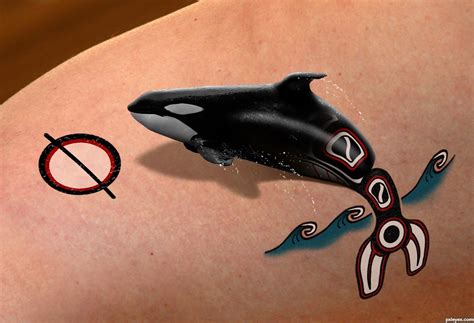 Orca Tattoos Images Thefamouspix Orca Tattoo Targaryen Tattoo