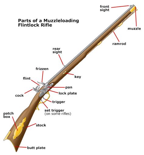 Parts Of A Muzzleloader Firearm Pa Hunter Ed Com