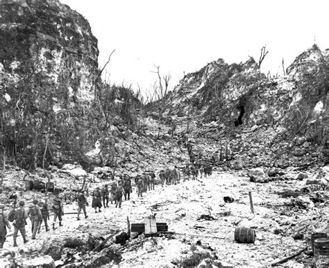 Peleliu Island The Battle Of Peleliu And Bloody Nose Ridge