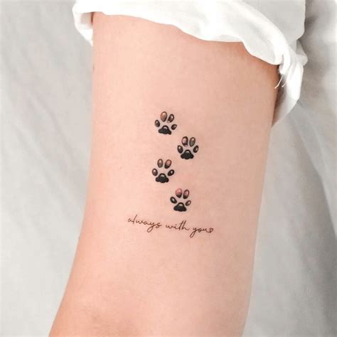 Pin By Erik Gomez On Tatoo Small Dog Tattoos Dog Paw Tattoo Dog