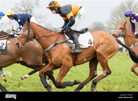 Point To Point Horse Racing At Cottenham In Cambridgeshire Stock Photo