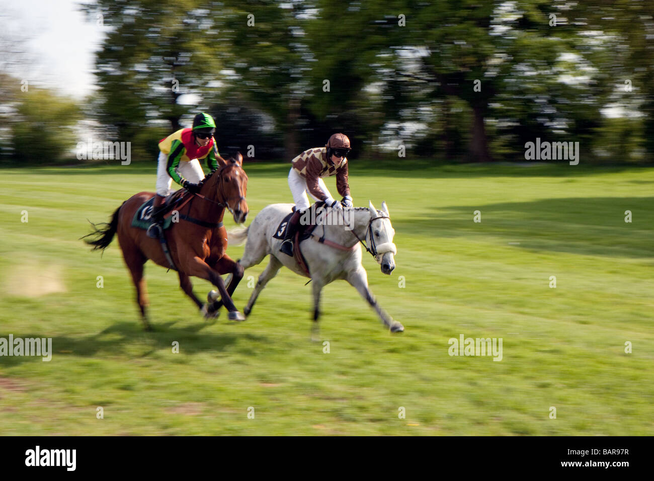 Point To Point Racing At Godstone Surrey Horse Stock Photo Alamy