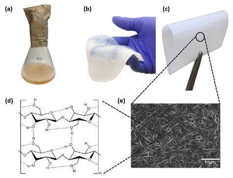 Polymers Free Full Text Review Of Bacterial Nanocellulose As Suitable Substrate For