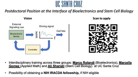 Postdoc Position At The Interface Of Bioelectronics And Stem Cell