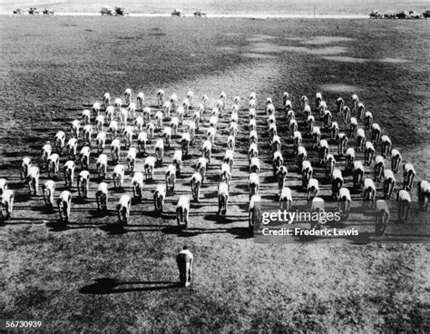 Randolph Air Force Base Photos And Premium High Res Pictures Getty Images