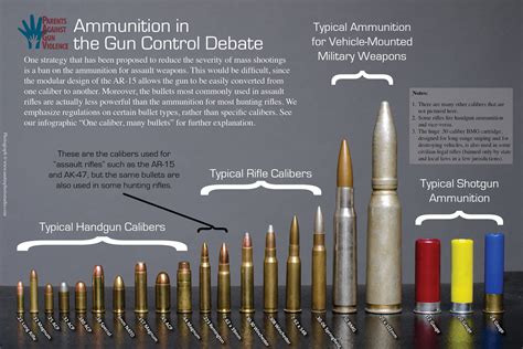 Rifle Bullet Chart Size Rifle Bullet Size Chart Comparison