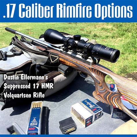 Rimfire 17S Three Great Options 17 Hmr 17 Mach 2 17 Wms Daily