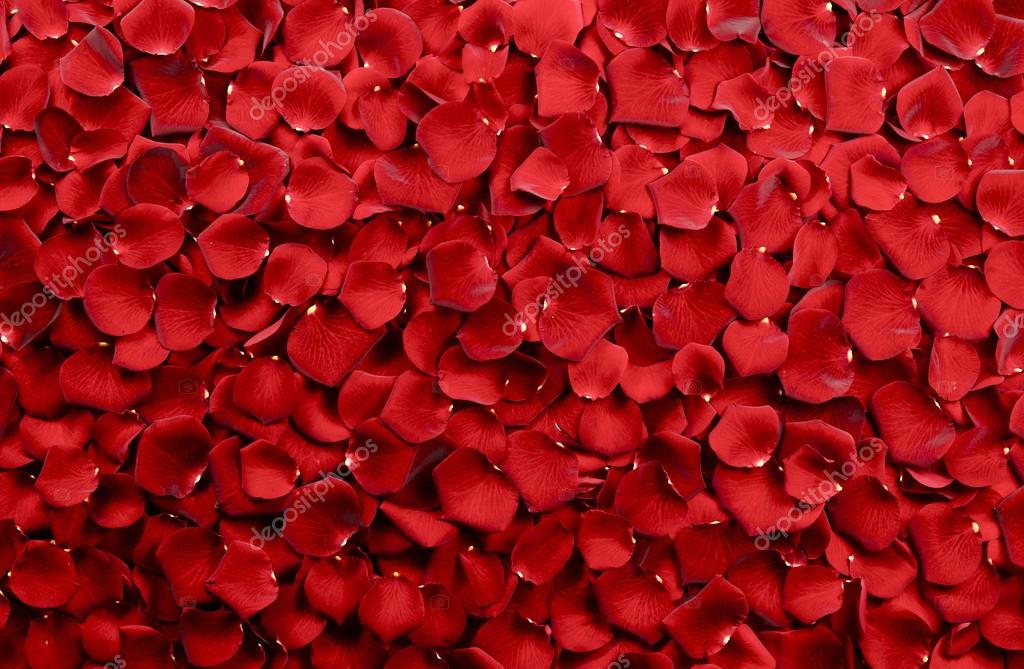 Rose Petals Photos Download The Best Free Rose Petals Stock Photos