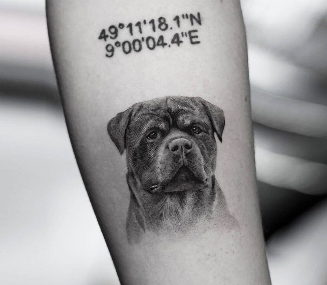 Rottweiler Tattoo By Ben Tats Photo 31962