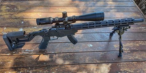 Ruger Precision Rimfire Rifle Cheap Thrills With The Tactical Terrier