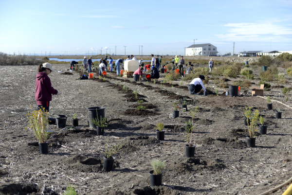 Seal Beach National Wildlife Refuge Preservation Effort Carries On