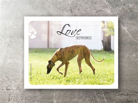 Set Of 6 Greyhound Cards True Love Etsy Uk