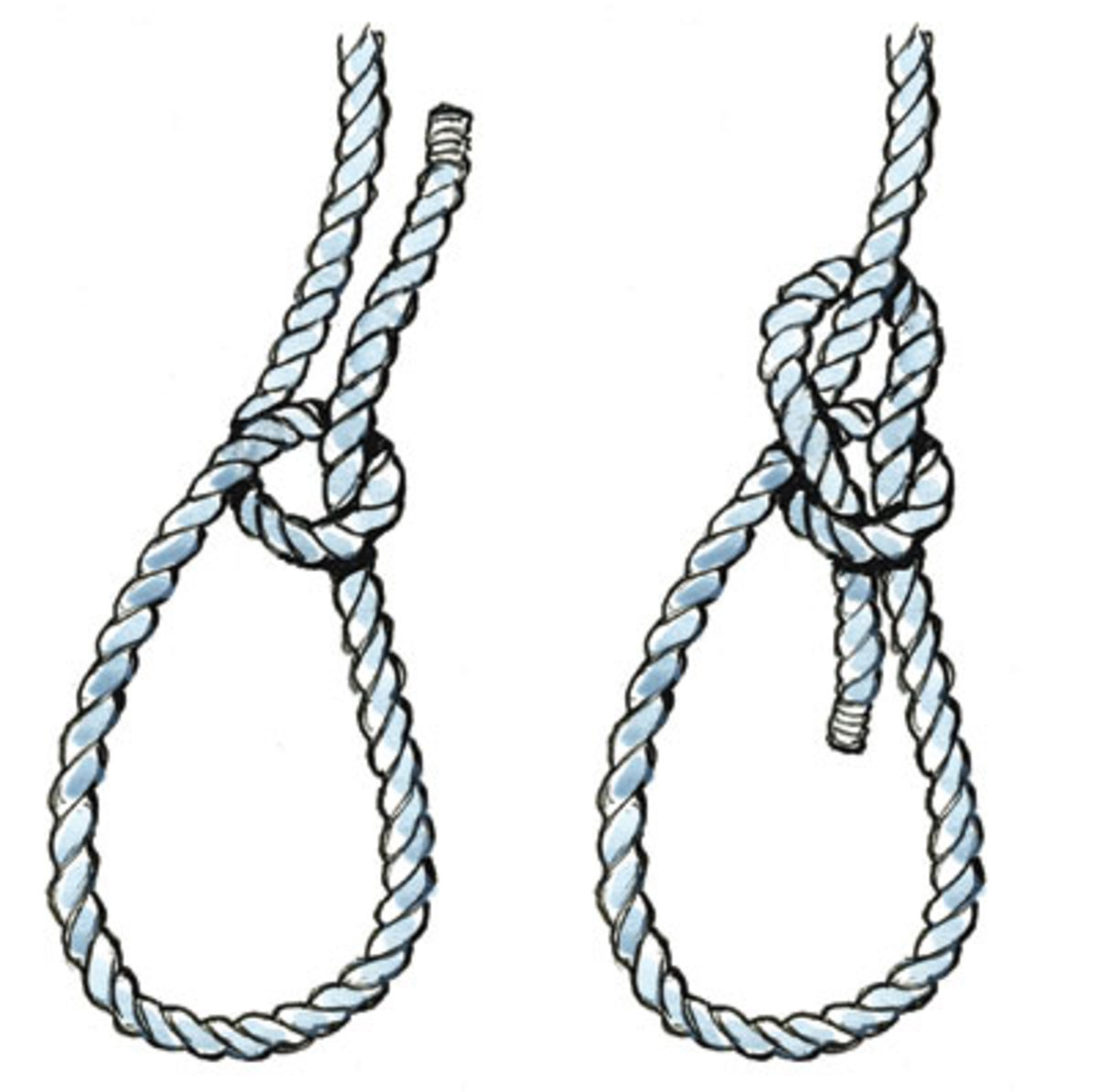 Seven Essential Knots For Sailors Sail Magazine