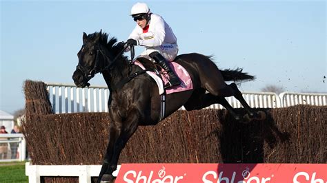 Shloer Chase Nube Negra Saunters To Cheltenham Victory For Dan And Harry Skelton Racing News