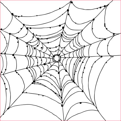 Design Ultimate Moneyspider Webs: 6 Simple Steps - Media Rpgsite