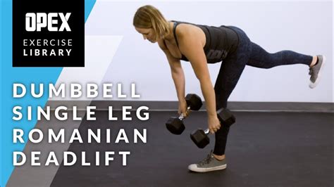 Single Leg Romanian Deadlift Exercise Dumbbells Youtube