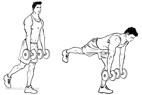 Single One Straight Leg Dumbbell Deadlift Workoutlabs Exercise Guide