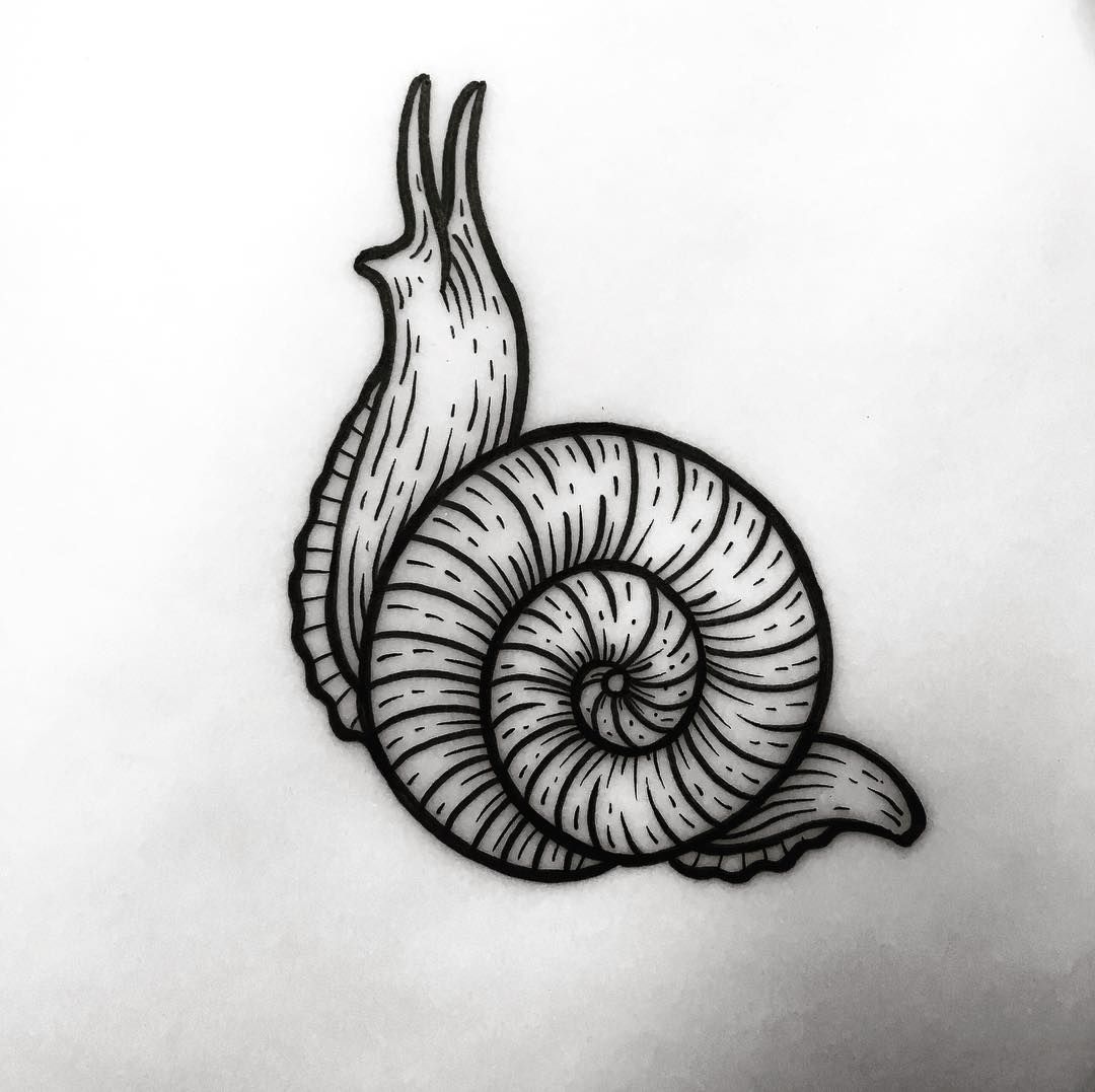 Snail Drawing Google Search Snail Snail Tattoo Animal Tattoos