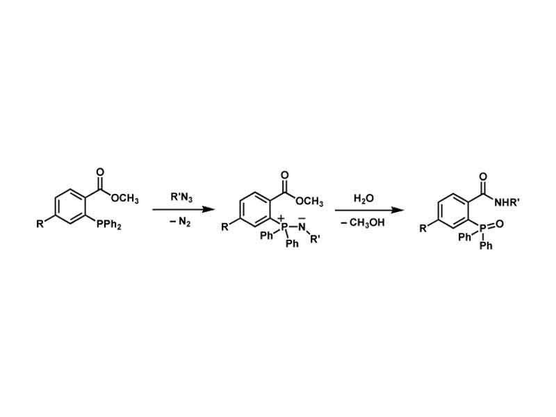 Staudinger Ligation