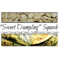 Sweet Dumpling Squash Seeds Oif8 Great Flavor And Storage Squash