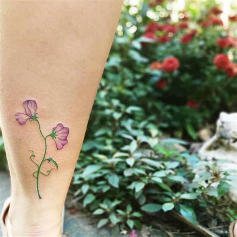 Sweet Pea Flower Tattoo Ideas Best Flower Site