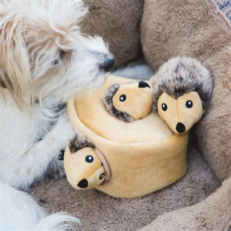 The 12 Best Toys For Senior Dogs