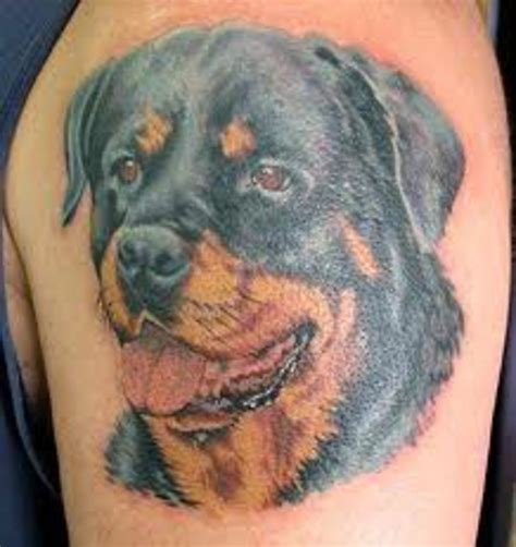 The 16 Cutest Rottweiler Tattoo Design Ideas Rottweiler Tattoo Dog