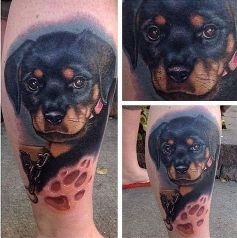 The 23 Cutest Rottweiler Tattoo Design Ideas The Dogman