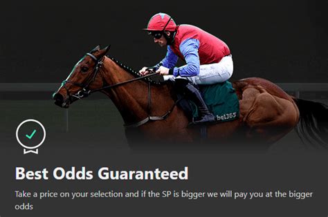 The Best Bet365 Horse Racing Odds