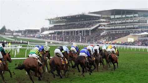 The Cheltenham Festival Starts Next Week Here S Why It Should Be