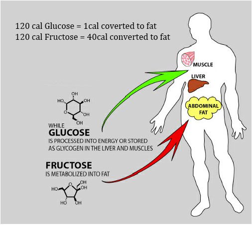 The Dark Nasty Truth About Fructose And Type 2 Diabetes