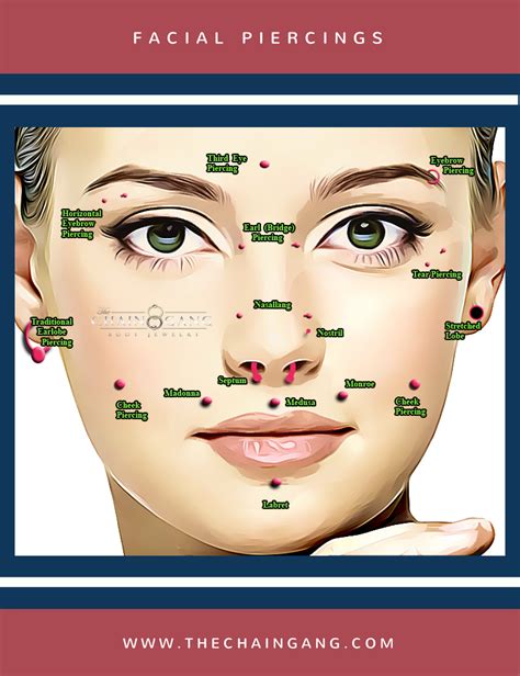 The Different Types Of Facial Piercings On A Woman Amp 39 S Face With Her Eyes Closed