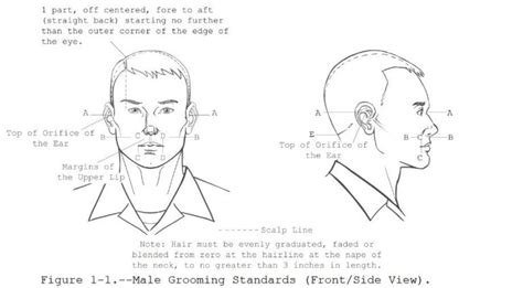 The Guide To Military Haircut Regulations Dodreads