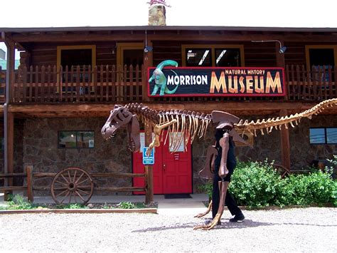 The Natural World Mr Bones Visits The Morrison Natural History Museum