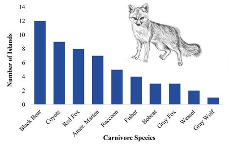 The Number Of Islands Which Each Terrestrial Carnivore Was Documented