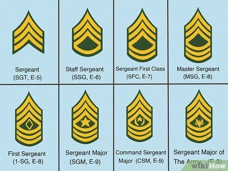 The Top 5 Military Ranks In The Army The Importance How To Climb Tips And Strategies Techplanet