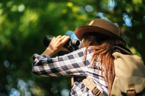 The Ultimate Birdwatching Gear Guide Must Have Equipment And Tips