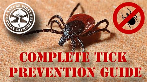 Tick Bite Prevention A Complete Guide Prevent Lyme Disease Tick