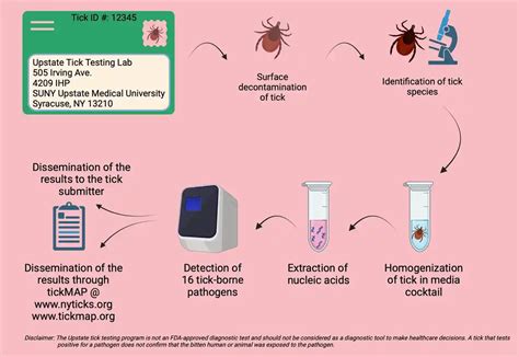 Tick Submission Upstate Tick Testing Laboratory Testing